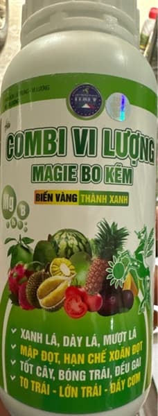 COMBI VI LƯỢNG 500 ml chia 10 bình