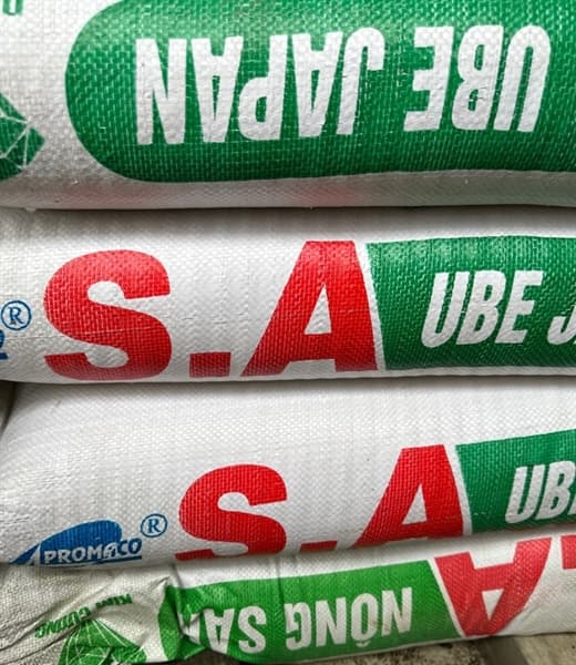 SA