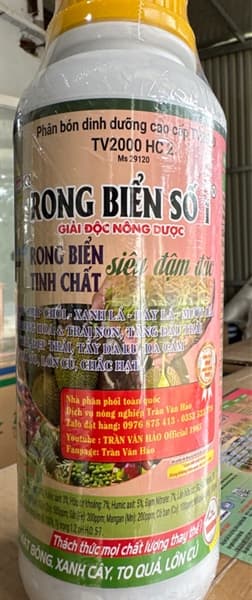 Chai rong biển - 1 lít