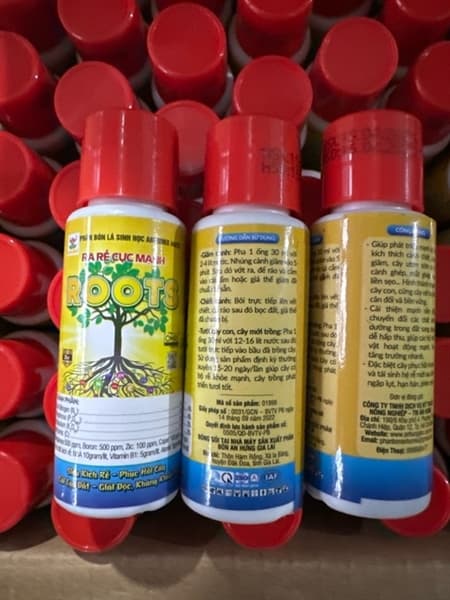 Ra rễ cực mạnh roots lọ 30 ml cao cấp
